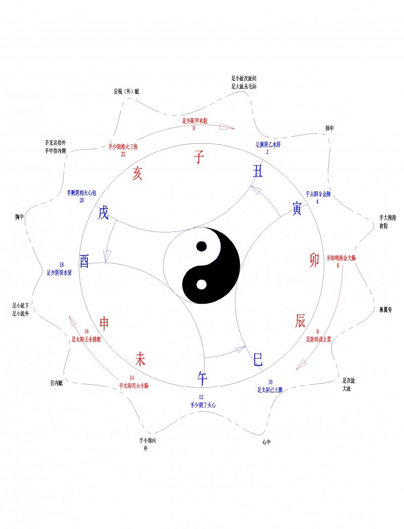 12經(jīng)脈運(yùn)行邏輯圖-模型